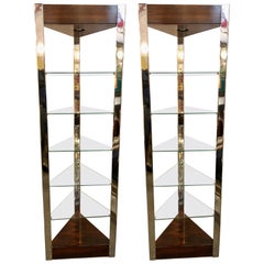 Mid-Century Modern Lighted Étagères or Shelves Rosewood Chrome and Glass, a Pair