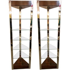 Mid-Century Modern Lighted Étagères or Shelves Rosewood Chrome and Glass, a Pair