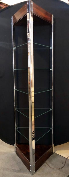 Mid-Century Modern Lighted Étagères or Shelves Rosewood Chrome and Glass, a Pair