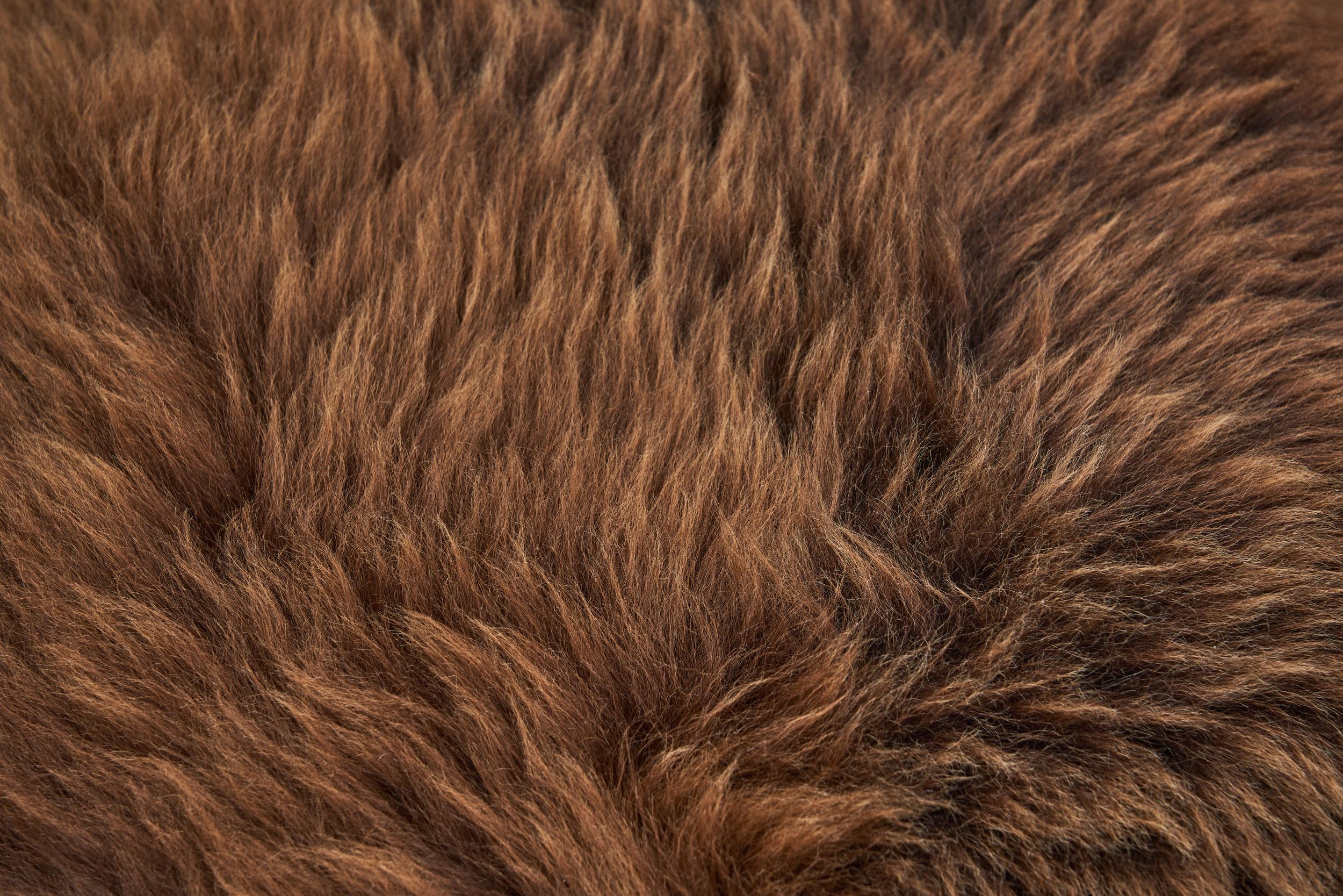 Mid-Century Modern Lounge Chair Upholstered in Sheepskin, Europe 20th Century 8