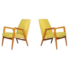 Retro Mid-Century Modern Lounge Chairs in Original Lemon Upholstery, Praque 1950s 
