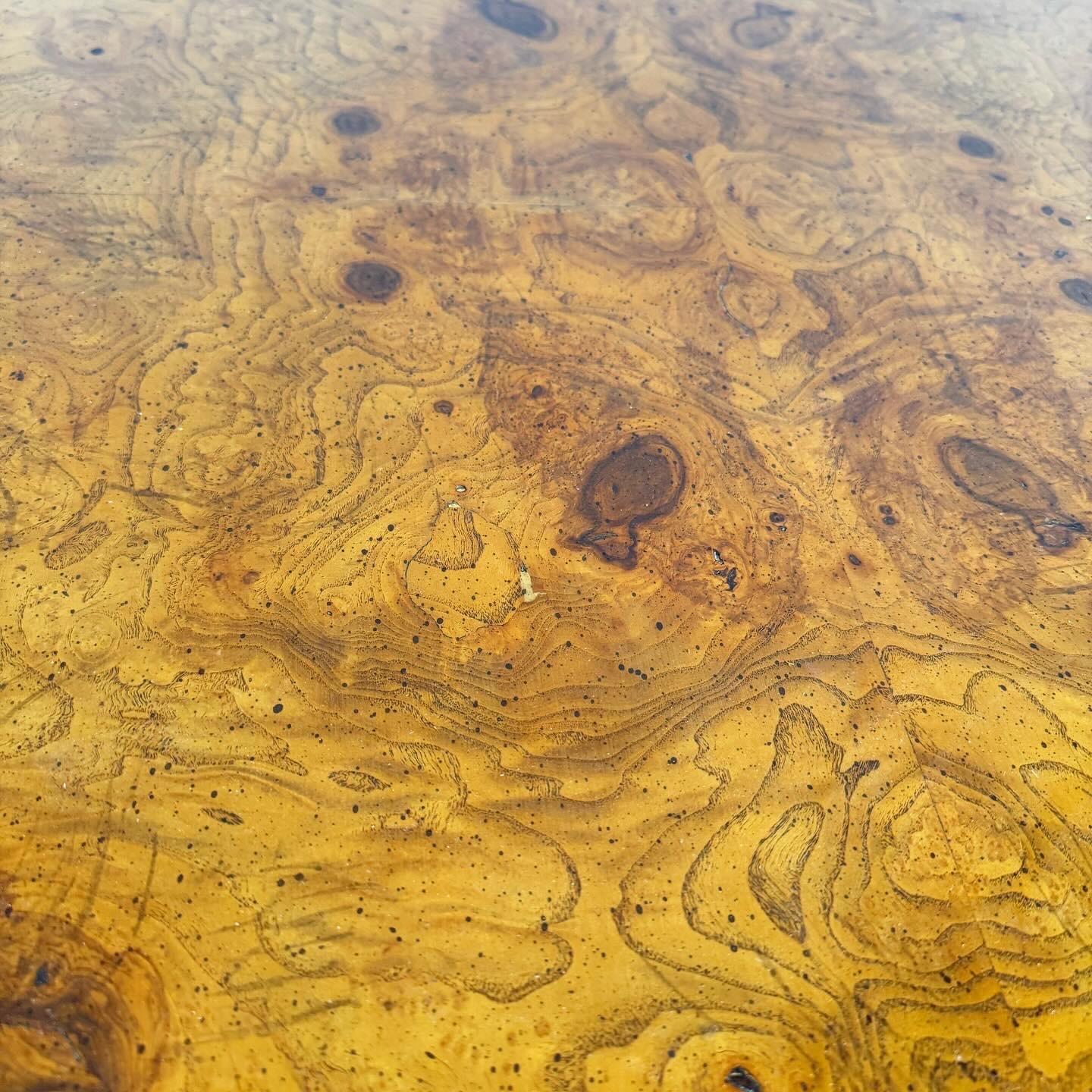 Mid Century Modern Lucite and Burl Wood Coffee Table 4