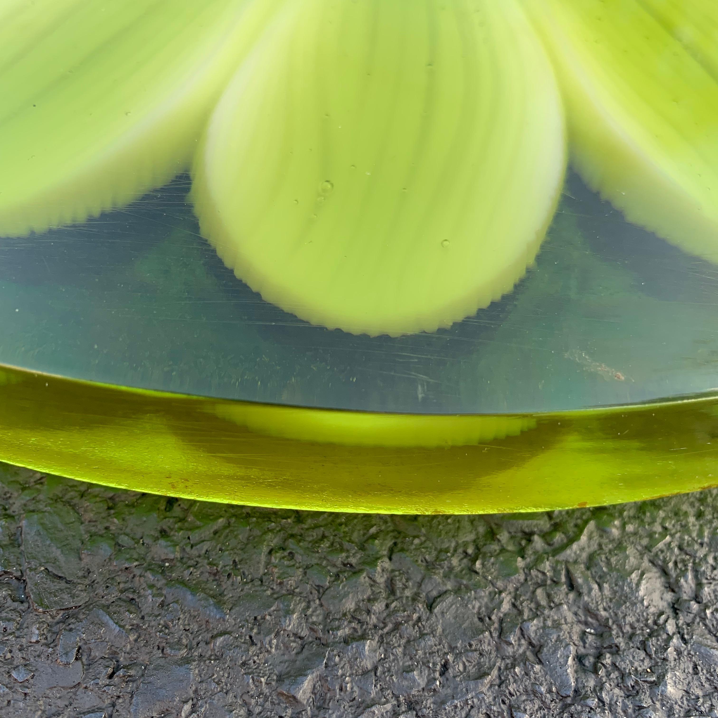 Mid-Century Modern Lucite Cutting Board With Green Marguerite Daisy Flower Decor In Good Condition In Haddonfield, NJ