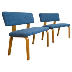 Panche di Thonet in bengala e bouclé di acero della modernità di metà secolo