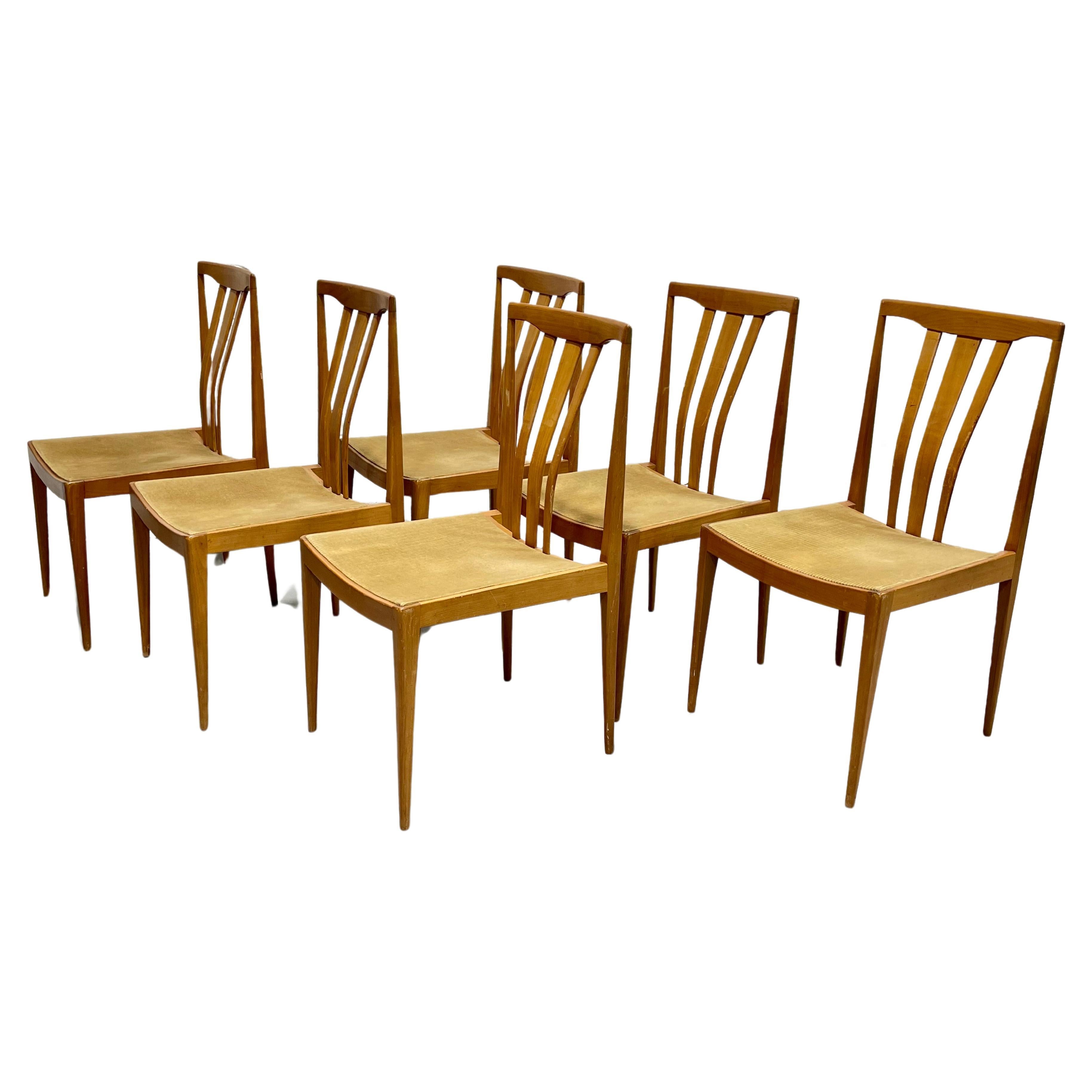 Mid Century Modern MAPLE Sculpted DINING CHAIRS, Satz von 6