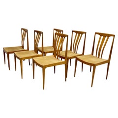 Mid Century Modern MAPLE Sculpted DINING CHAIRS, Set of 6