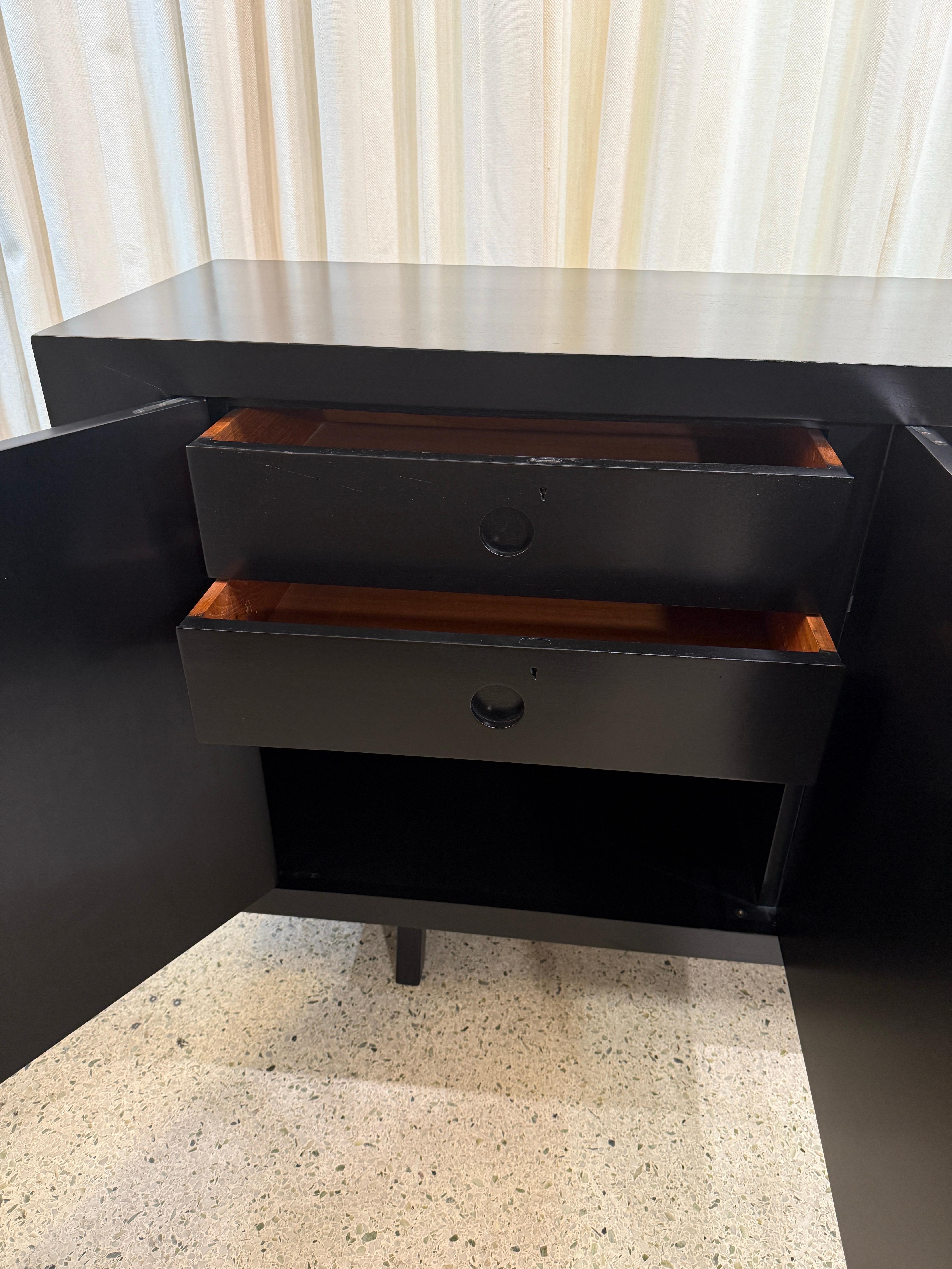 Cabinet ébonisé de The Moderns Finish Matte en vente 3