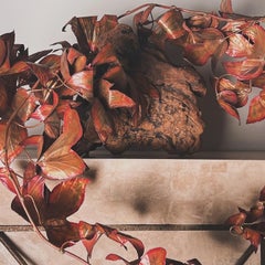 Moderne Wandskulptur aus Metall und Wurzelholz von Curtis Jeré aus der Mitte des Jahrhunderts, um 1960