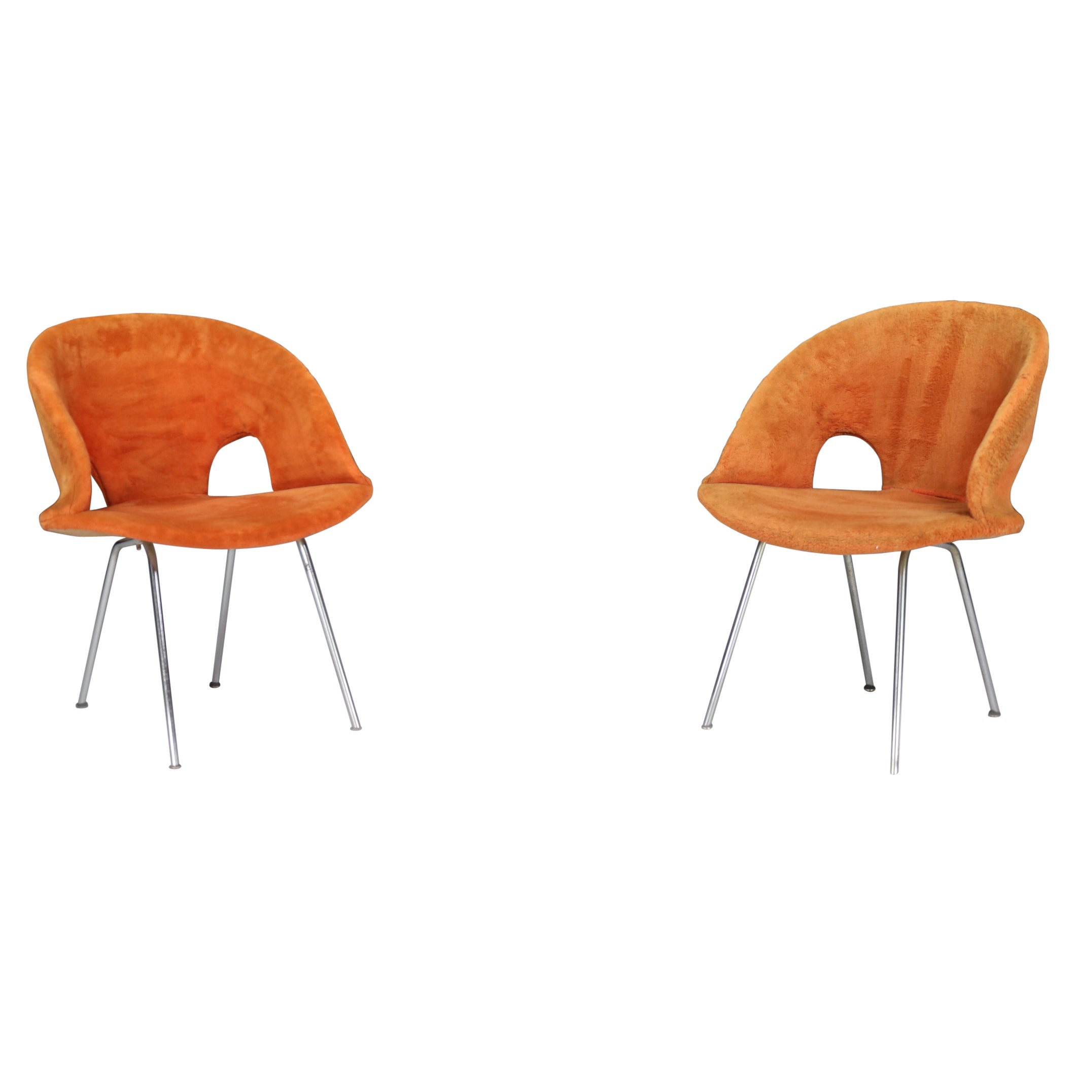 Sedie Model 350 di Arno Votteler per Walter Knoll, stile metà del secolo scorso.  Germania in vendita