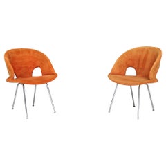 Sedie Model 350 di Arno Votteler per Walter Knoll, stile metà del secolo scorso.  Germania