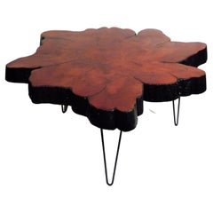 Mid-Century Modern Modernist Redwood Free Live Edge Hairpin Coffee Table