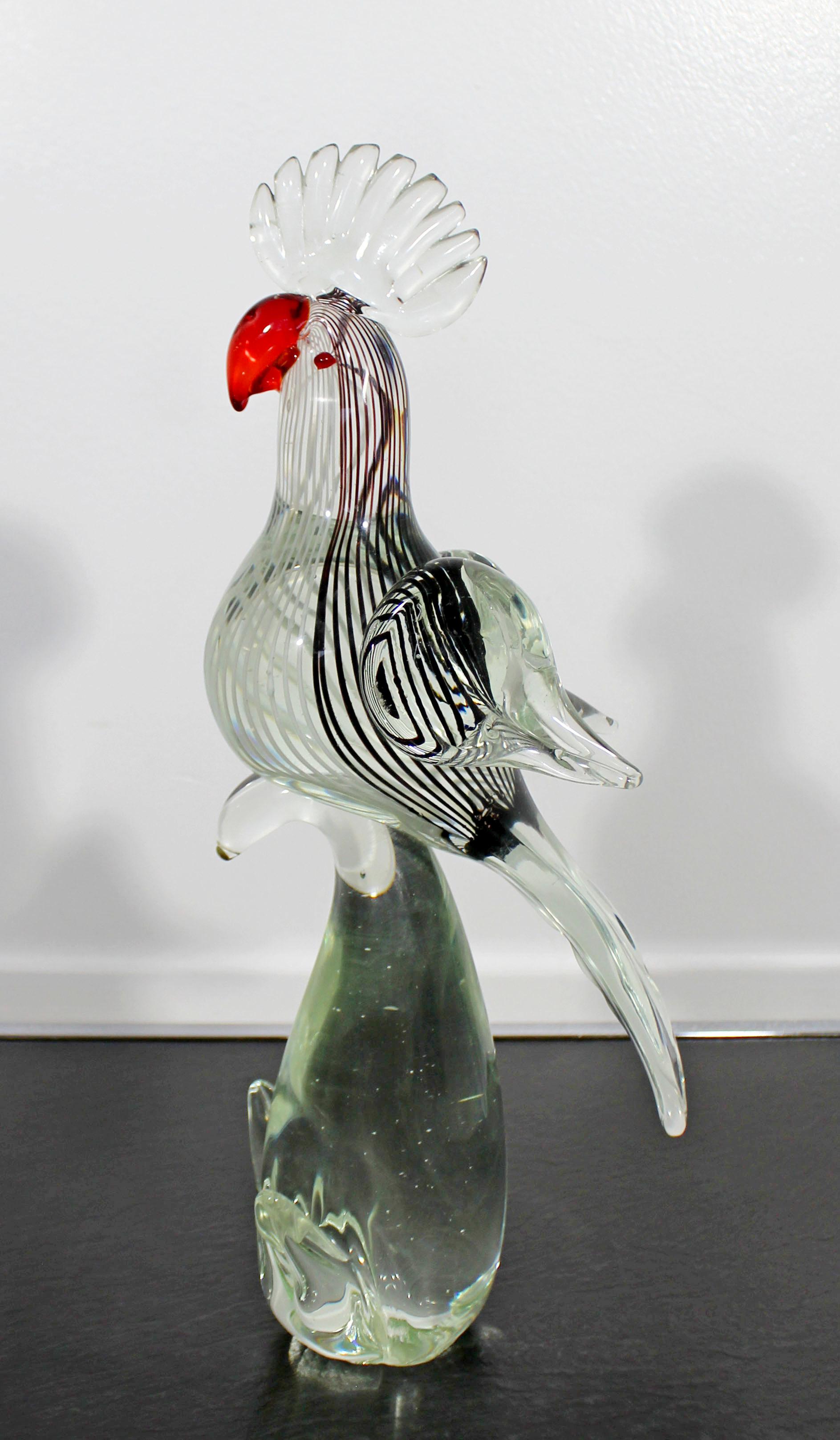 Mid-Century Modern Murano Glass Cockatoo Art Table Sculpture Italy Red, 1960s 1