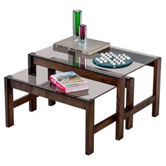 Mid-Century Modern Nesting Coffee Tables, Wood and Glass, Living Room Decorative