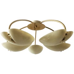 Mid-Century Modern Nikoll Brass Lucite Chandelier, Austria, 1950s