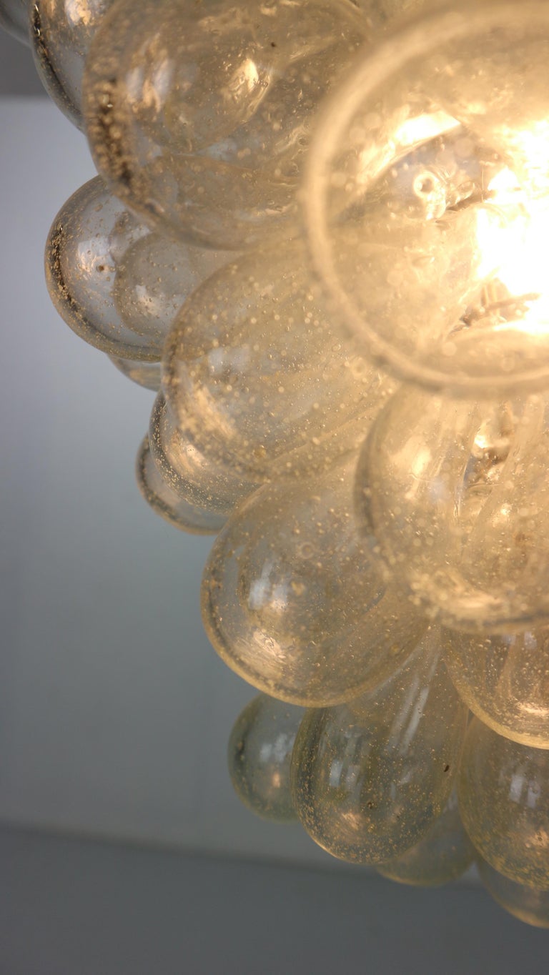 Mid-Century Modern Organic Clear Glass 