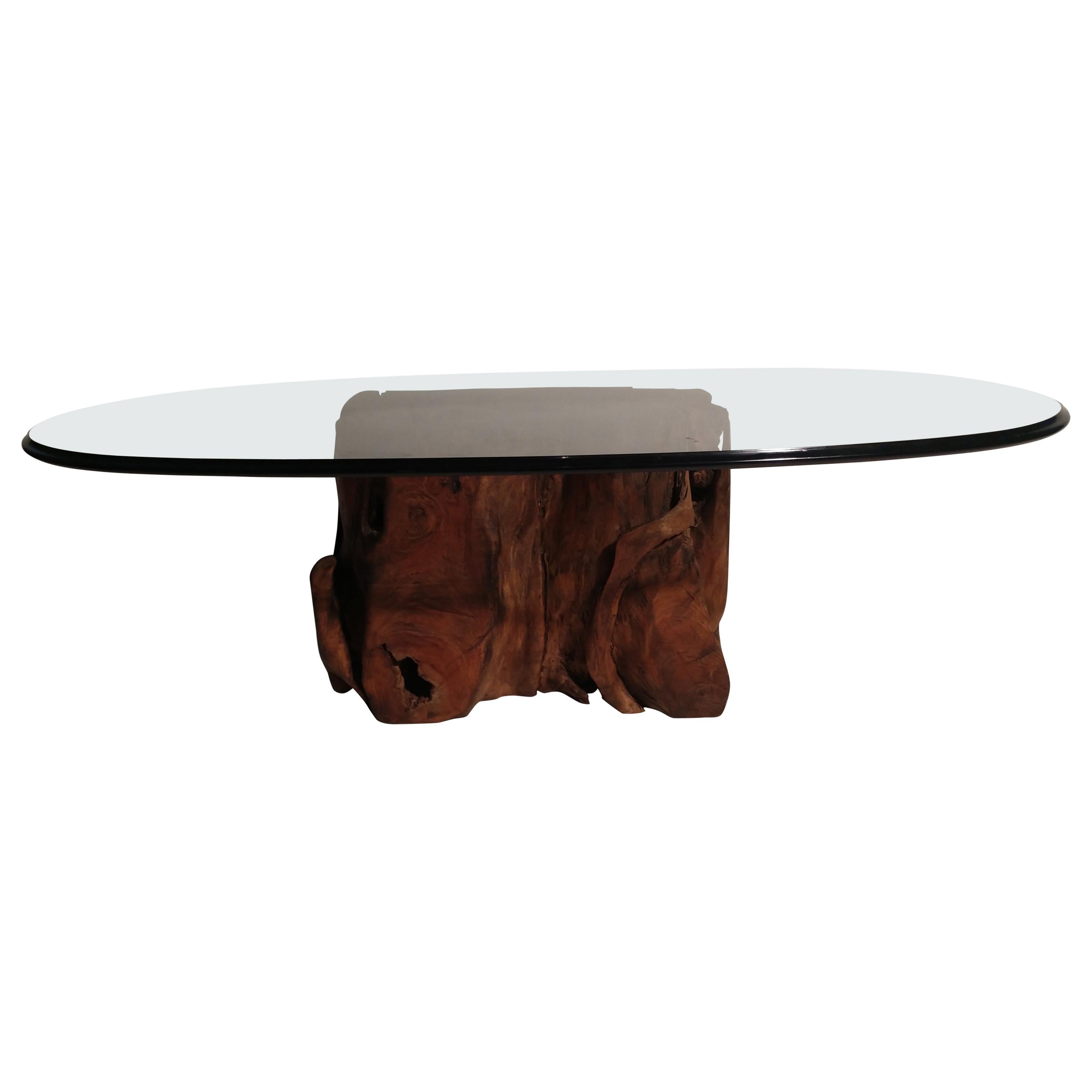 Mid-Century Modern Organic Tree Root Base Cocktail Table