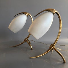 Mid-Century Modern Oscar Torlasco "Parrot" Night Stand Lights Pair, Italy 1960s