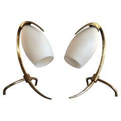 Mid-Century Modern Oscar Torlasco "Parrot" Night Stand Lights Pair, Italy 1960s