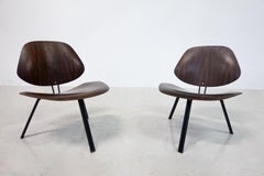 Mid-Century Modern P31 Chairs by Osvaldo Borsani, Tecno, 1950s