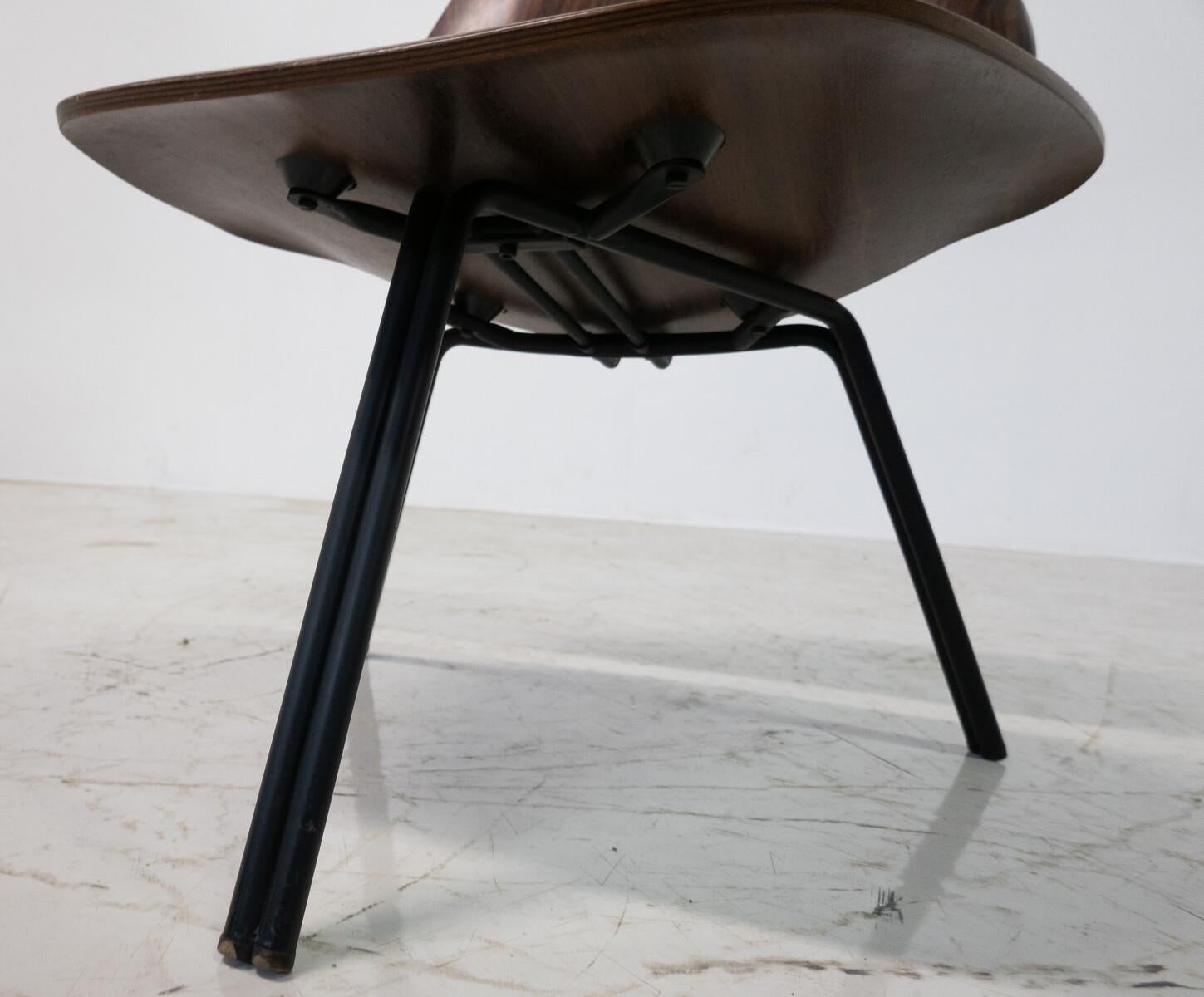 Moderne P31-Stühle aus der Mitte des Jahrhunderts von Osvaldo Borsani, Tecno, 1950er Jahre im Angebot 3