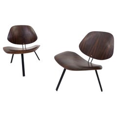 Mid-Century Modern P31 Chairs by Osvaldo Borsani, Tecno, 1950s