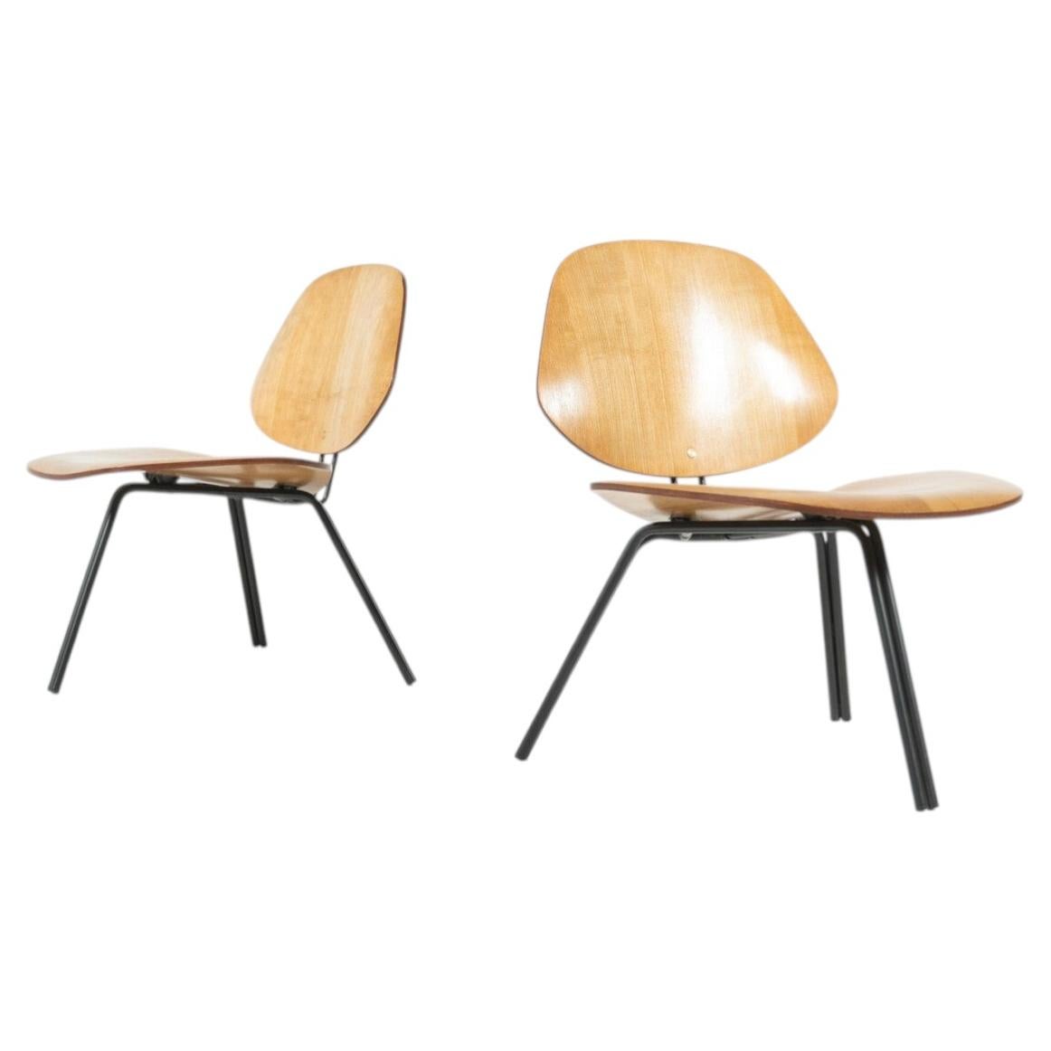 Mid-Century Modern P31 Chairs by Osvaldo Borsani, Tecno, 1950s