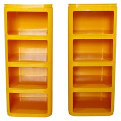 Mid-Century Modern Pair Acrylic Modular Shelving Systems Anna Castelli Kartell