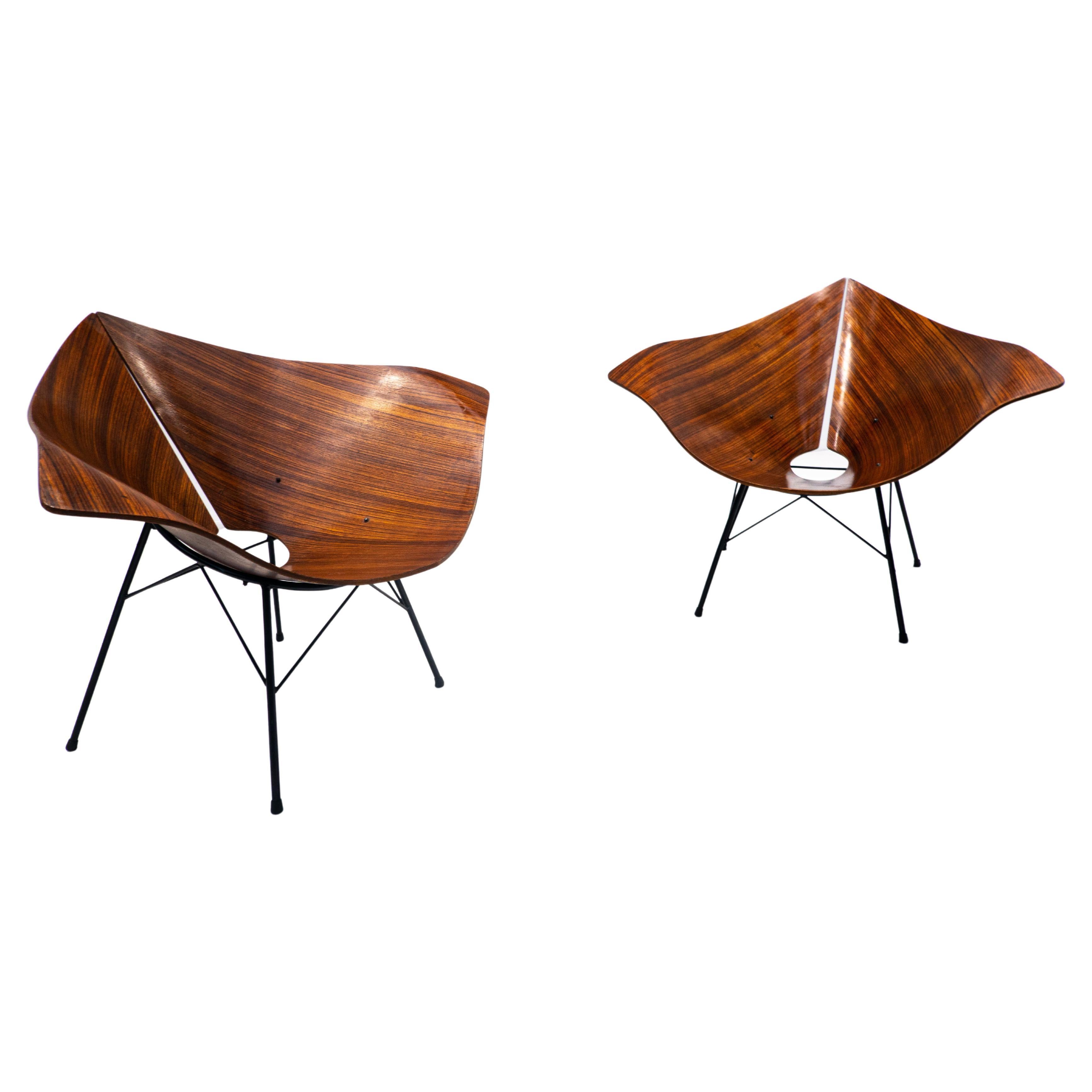 Set of 60 Scandinavian Modern Chairs Made from Bentwood and Plywood