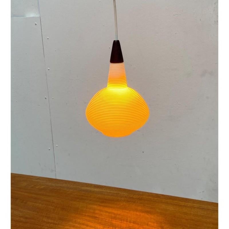 20th Century Mid-Century Modern Pendant Lamp by Yasha Heifetz for Rotaflex Heifetz, 1960s For Sale