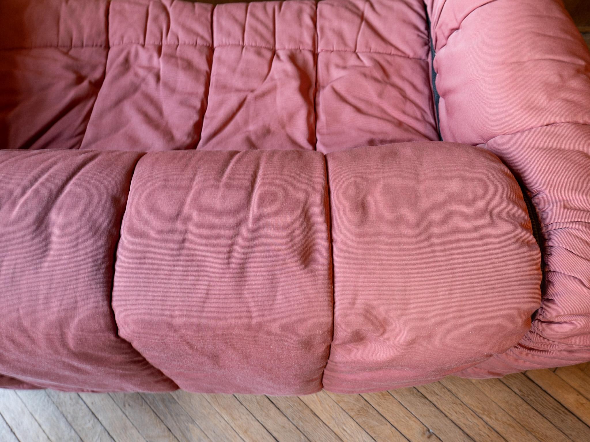 Mid-Century Modern Pink Strips Sofa by Cini Boeri for Arflex, Italy, 1970s 2
