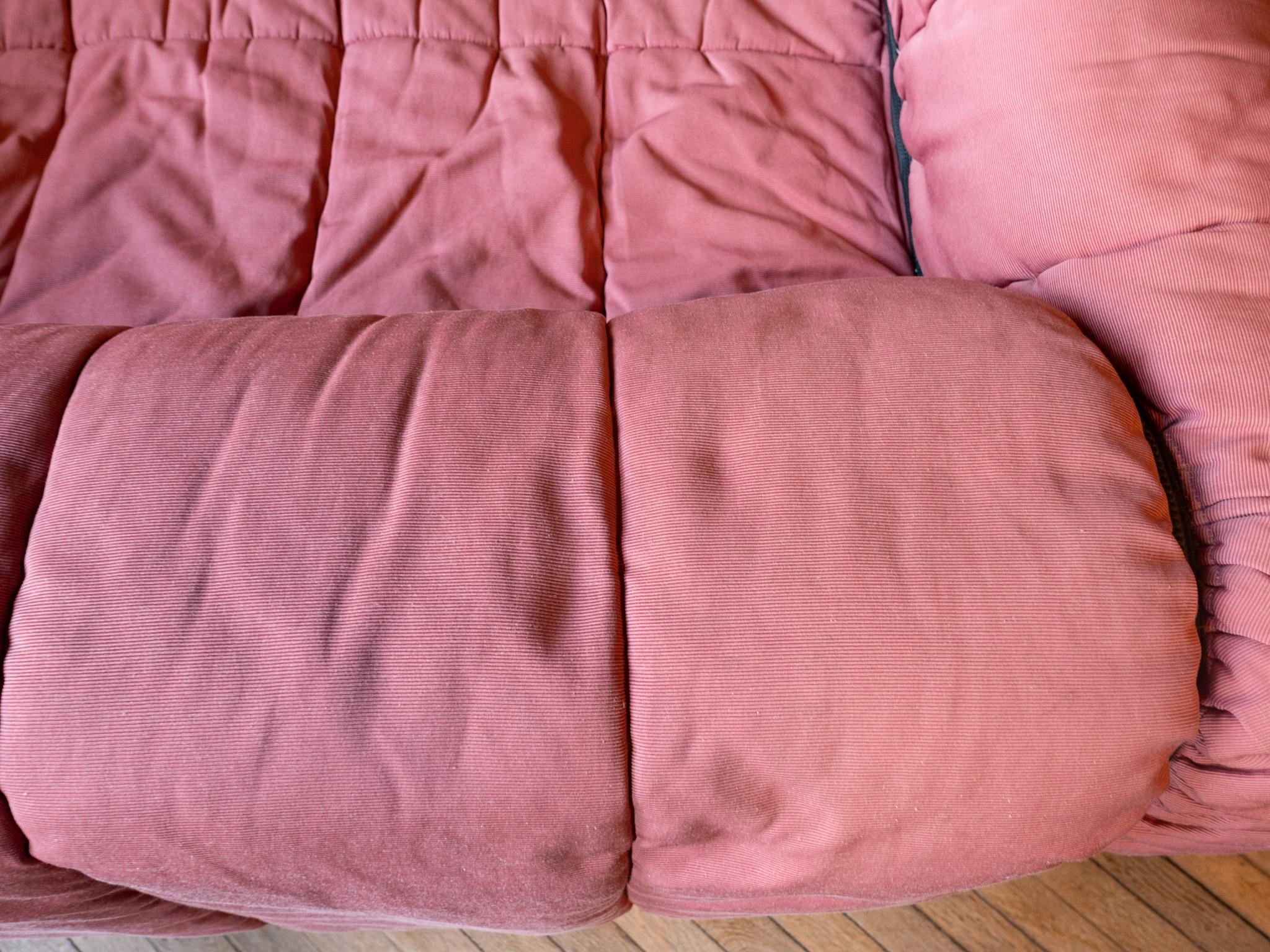 Mid-Century Modern Pink Strips Sofa by Cini Boeri for Arflex, Italy, 1970s 3