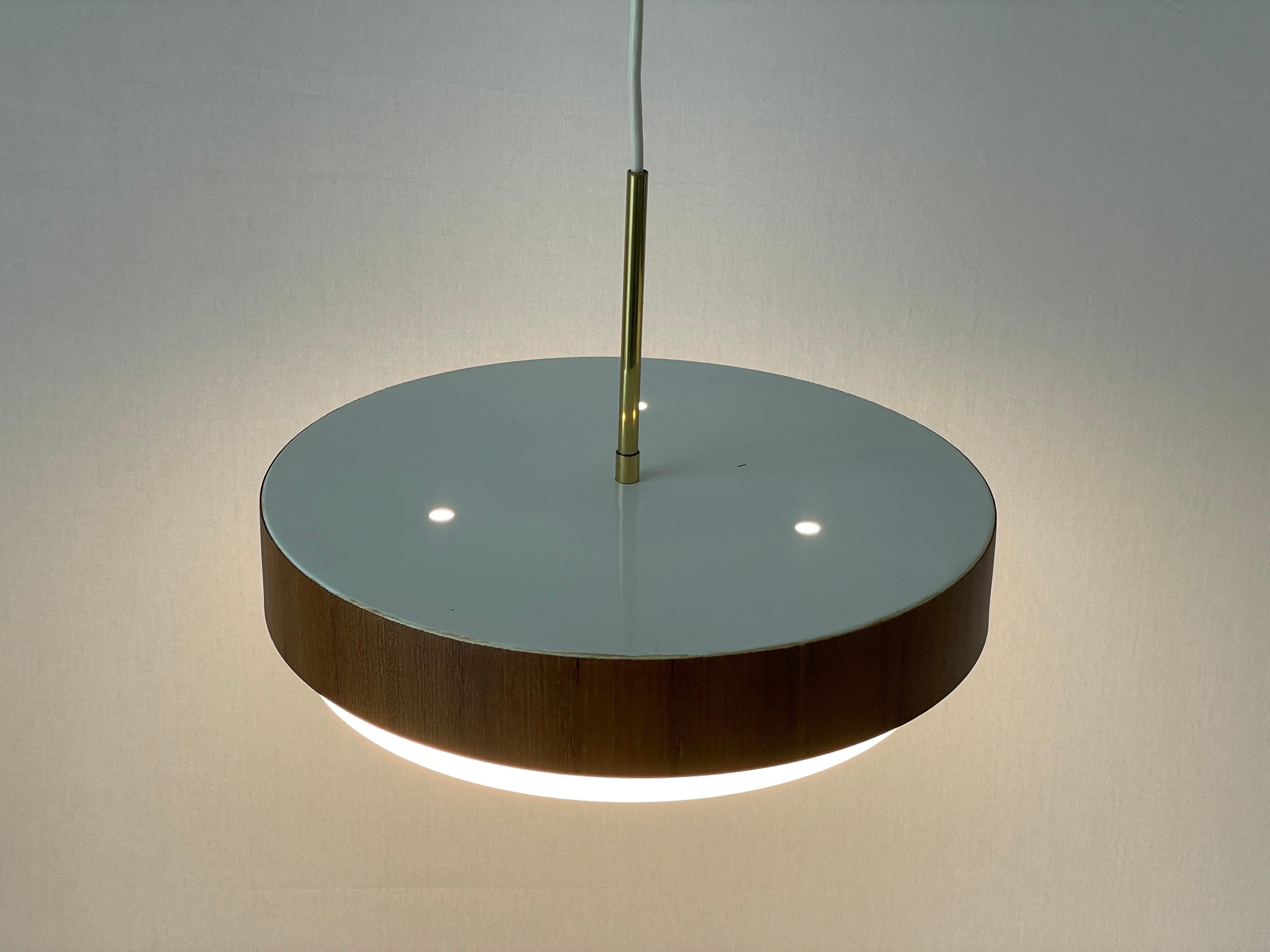Mid-century Modern Plexiglass Metal Ceiling Lamp by Schmelzer, 1960s, Germany For Sale 5