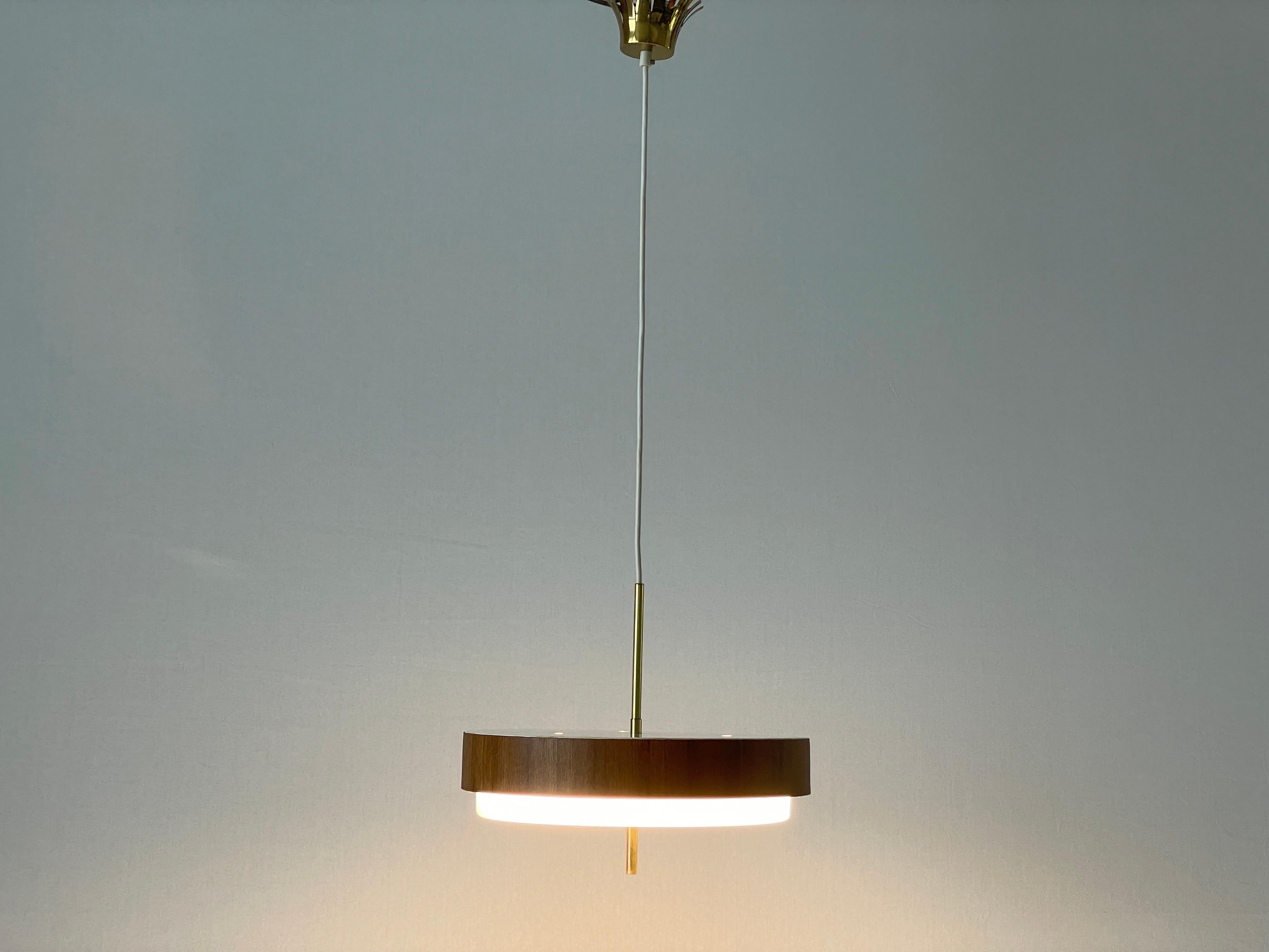 Mid-century Modern Plexiglass Metal Ceiling Lamp by Schmelzer, 1960s, Germany For Sale 7
