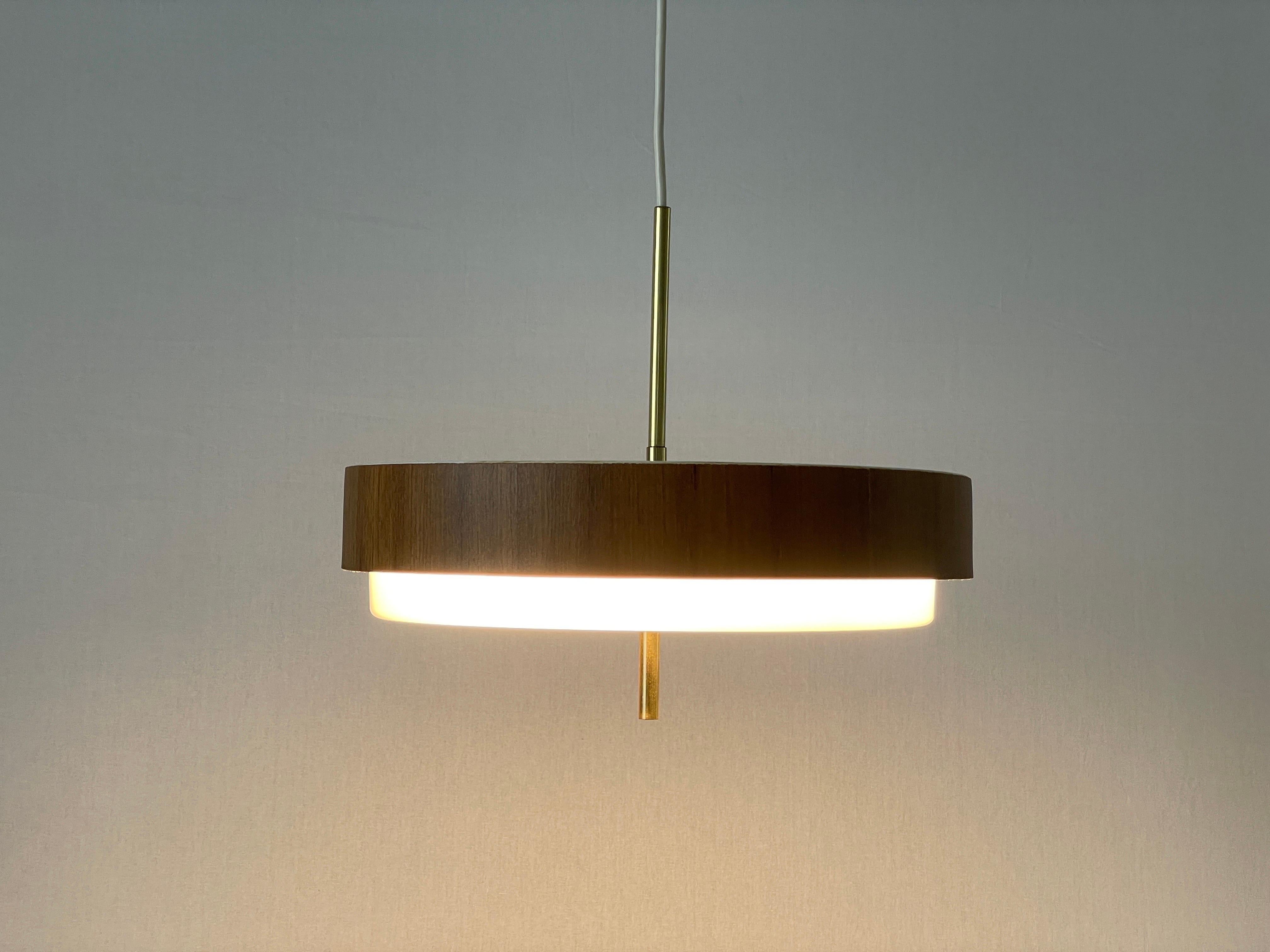 Mid-century Modern Plexiglass Metal Ceiling Lamp by Schmelzer, 1960s, Germany For Sale 3