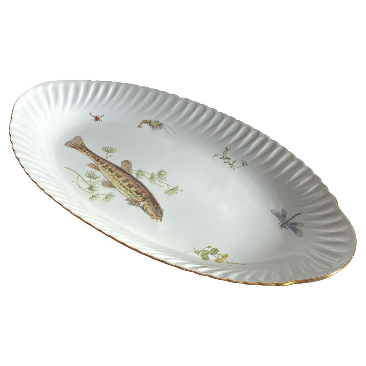Plato de pescado de porcelana moderna de mediados de siglo  por Limoges, Francia