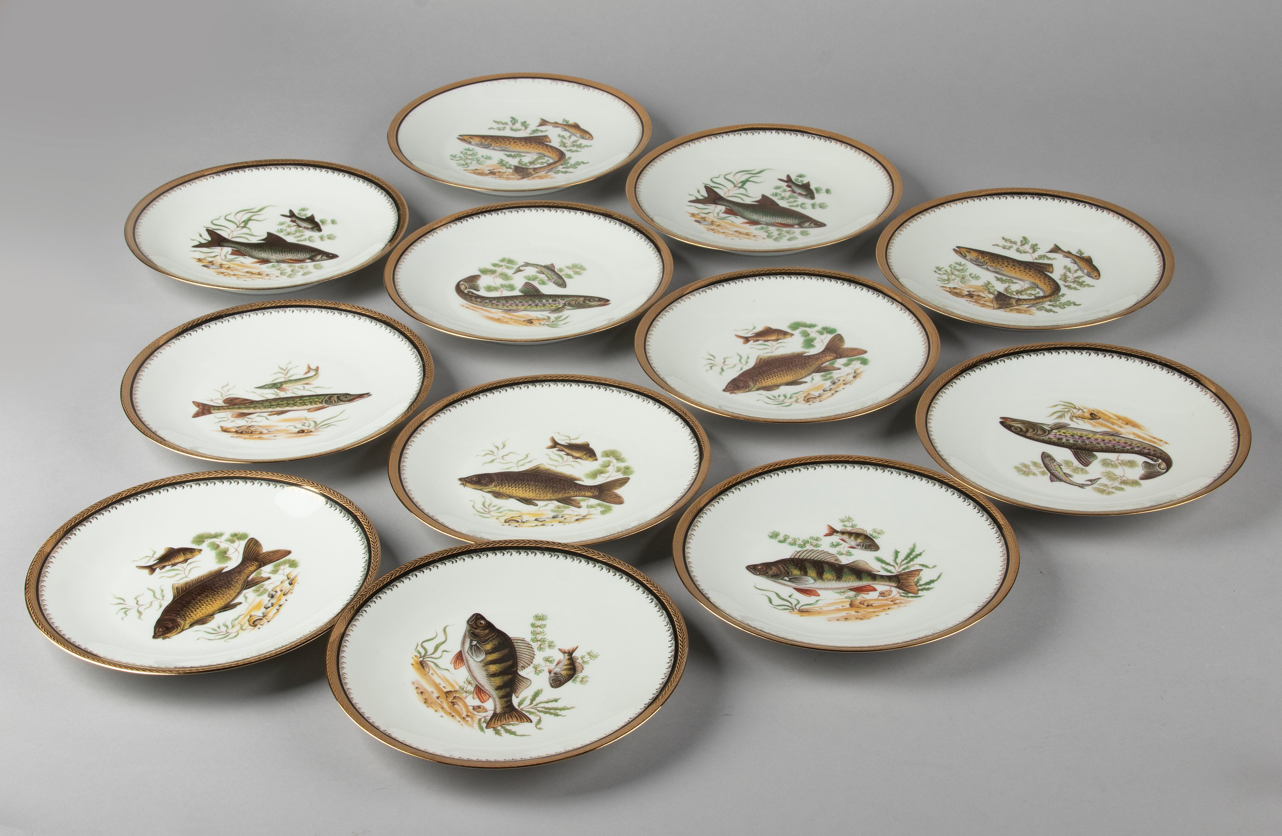 Beautiful porcelain fish service from the French brand Limoges. The service is decorated with all kinds of different images of fish, the edges are decorated with a narrow black edge and gold-coloured accents. The service dates from around 1960. The