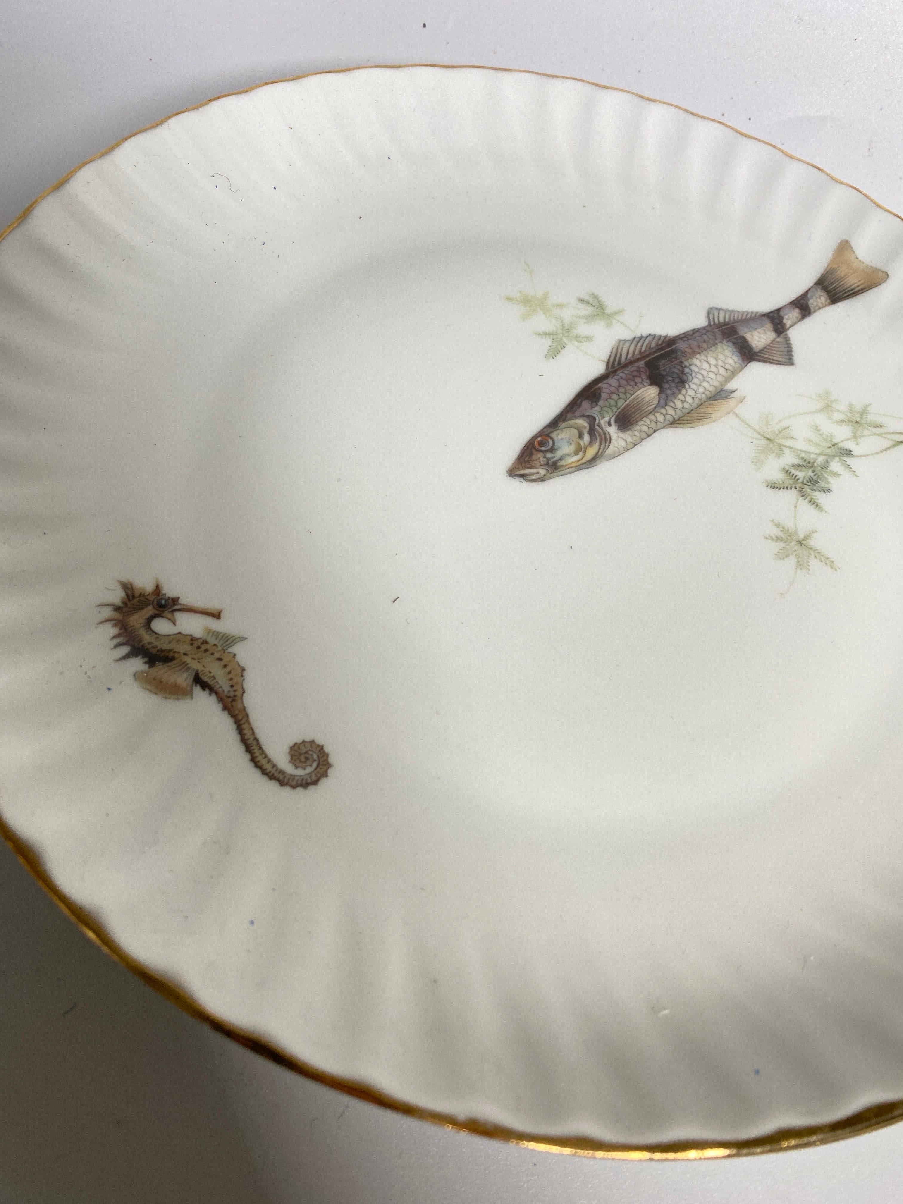 Porcelain fish service from the French brand Limoges. The service is decorated with all kinds of different images of fish. The service dates from around 1960. The porcelain is of a beautiful, refined quality. All parts are marked on the bottom. The