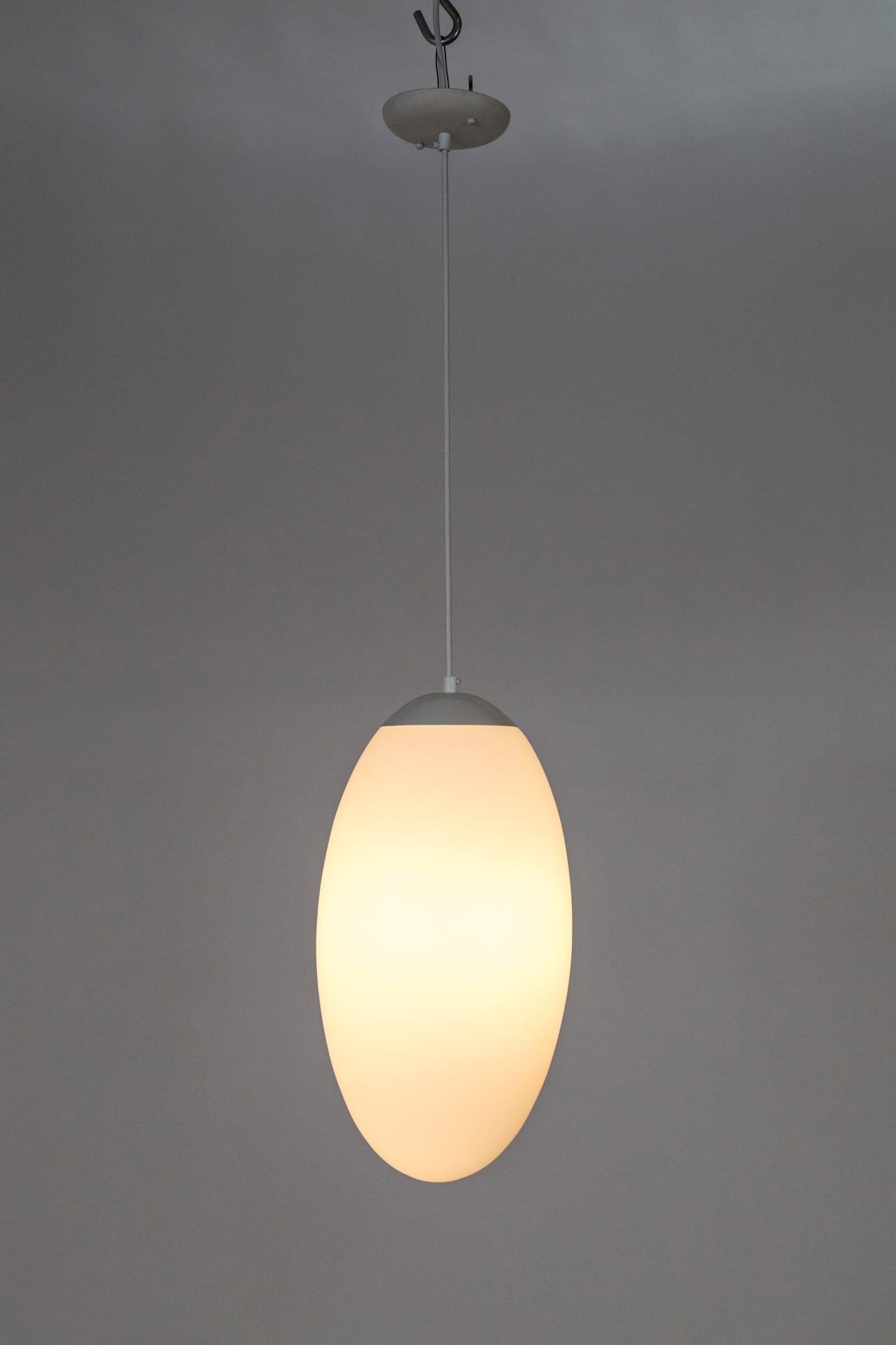 egg shaped pendant lights