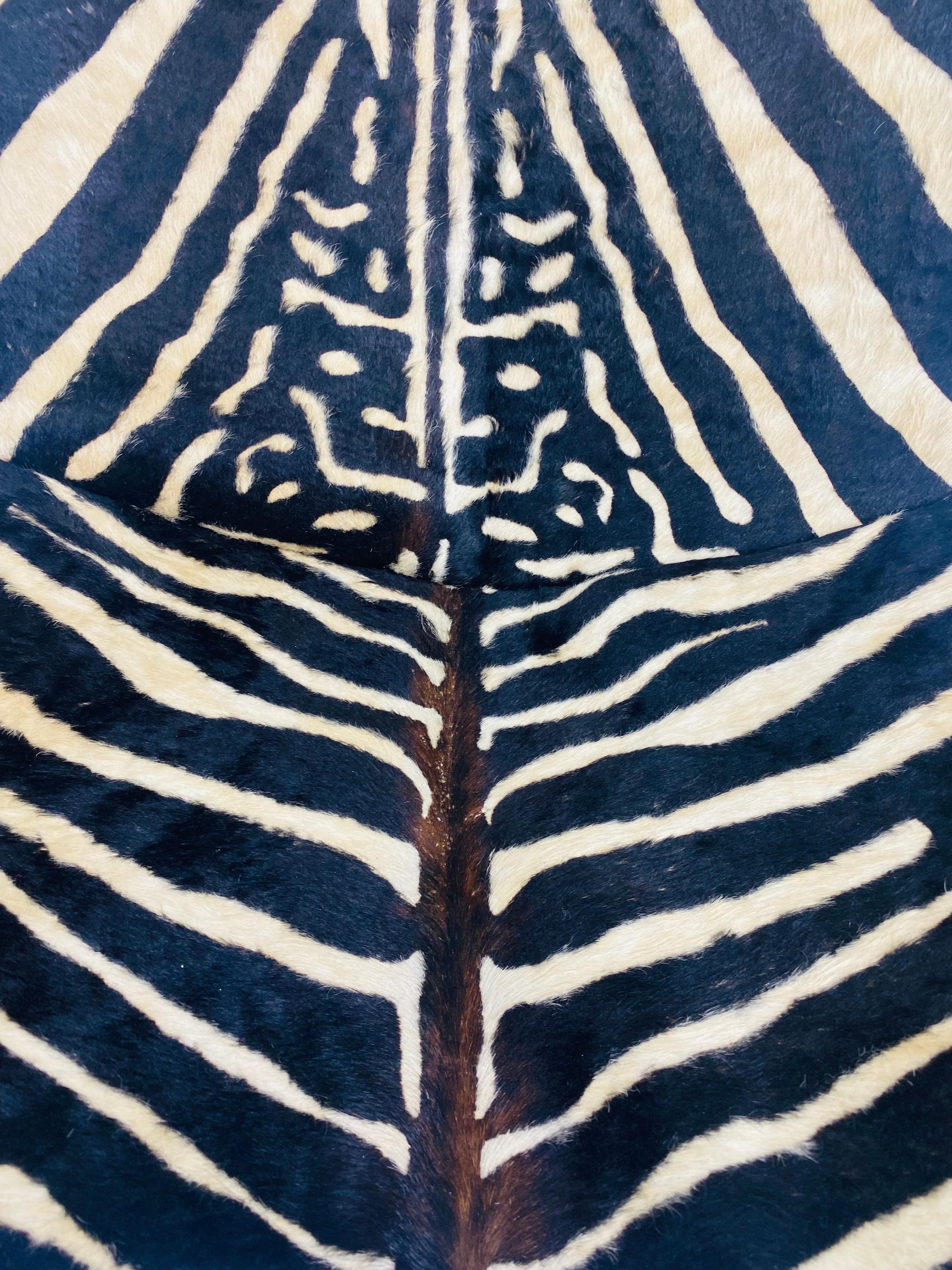 Mid century, modern printed cowhide folding safari chair In Good Condition In Allentown, PA
