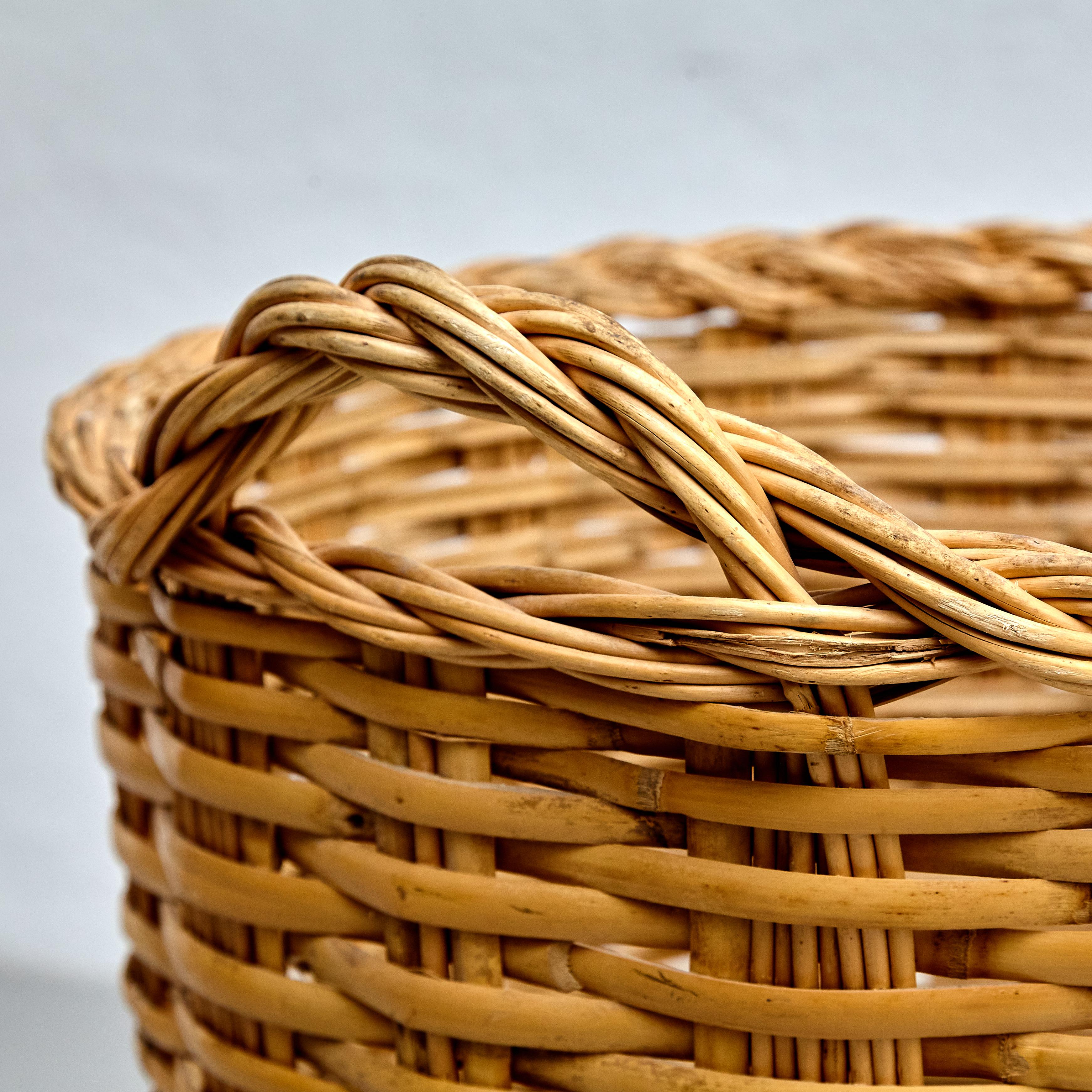 Mid-Century Modern Rattan Large Basket, circa 1960 1