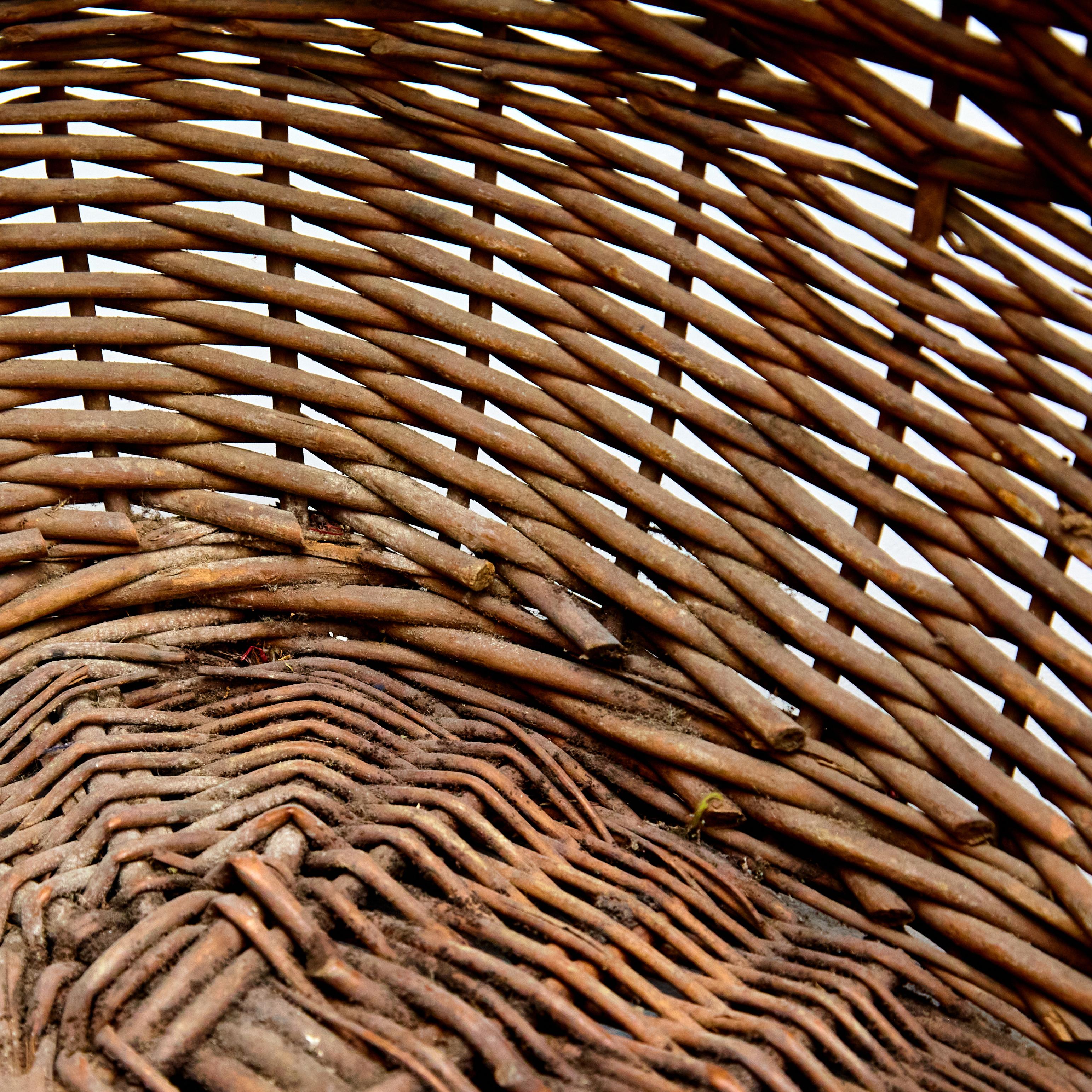 Mid-Century Modern Rattan Rustic Basket, circa 1960 For Sale 4