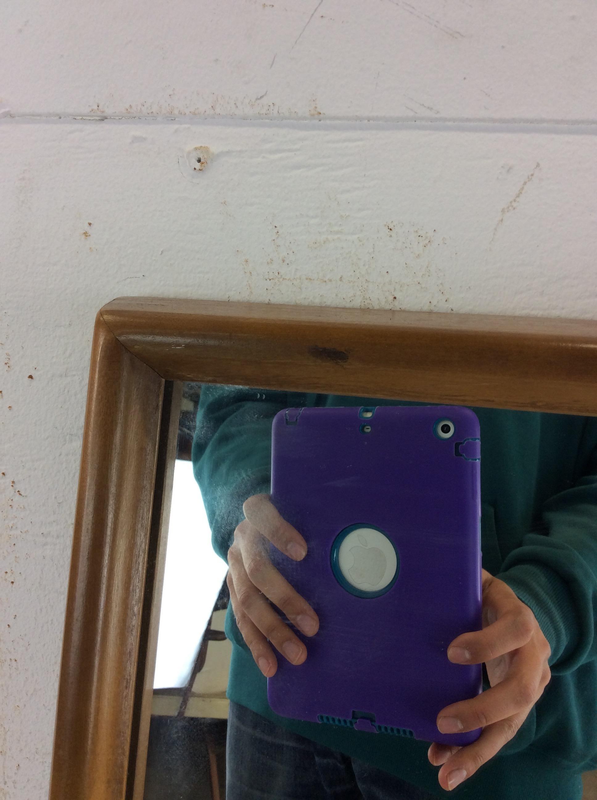 Mid Century Modern Rectangular Wall Mirror with Beveled Walnut Frame For Sale 1