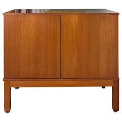 Mid-Century Modern Retro Vinyl / Media / Storage Teak Cabinet