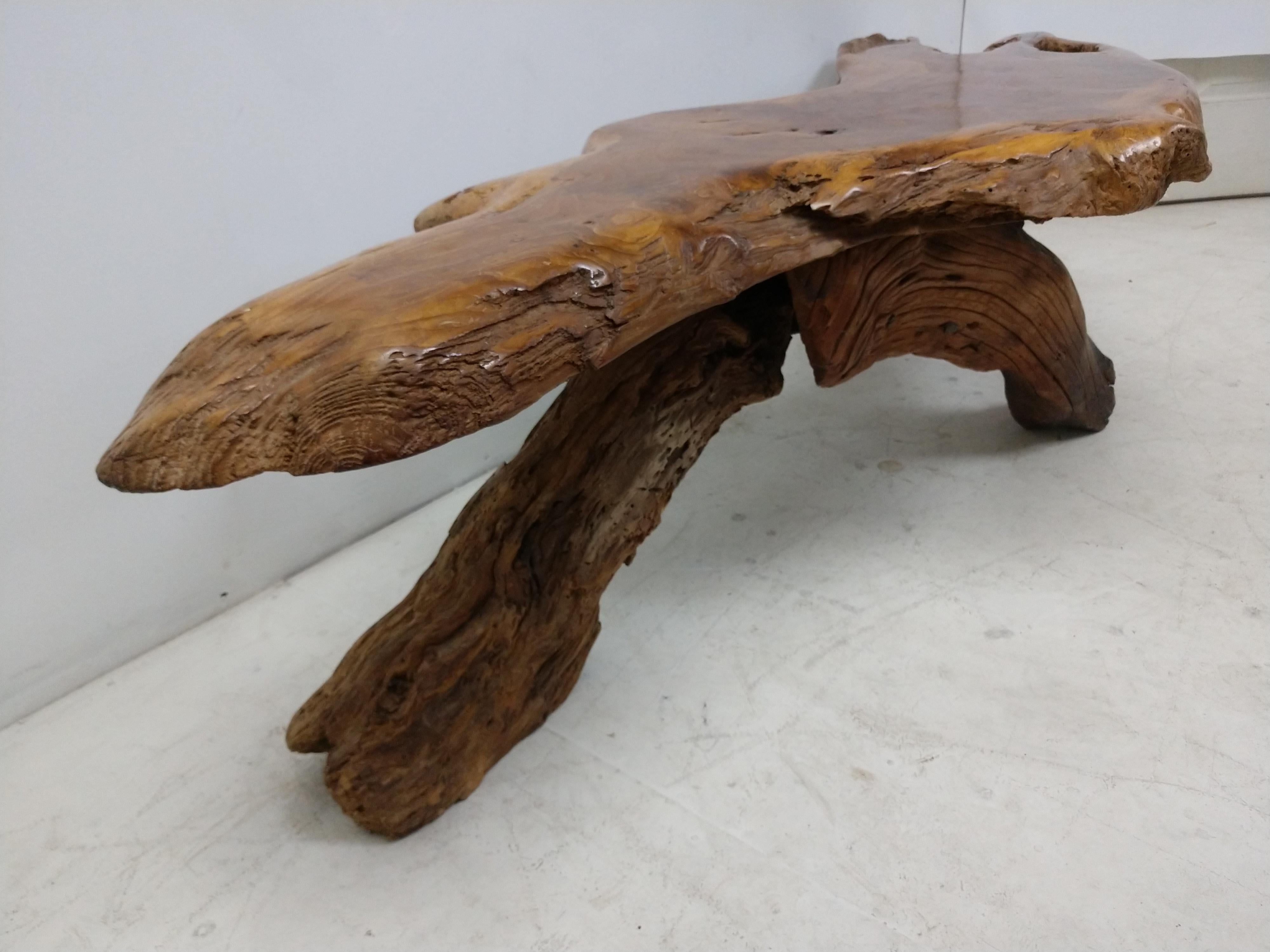 American Mid-Century Modern Root Slab Live Edge Cocktail Table
