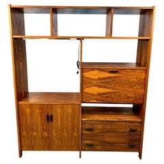 Vintage Mid-Century Modern Rosewood Media Center