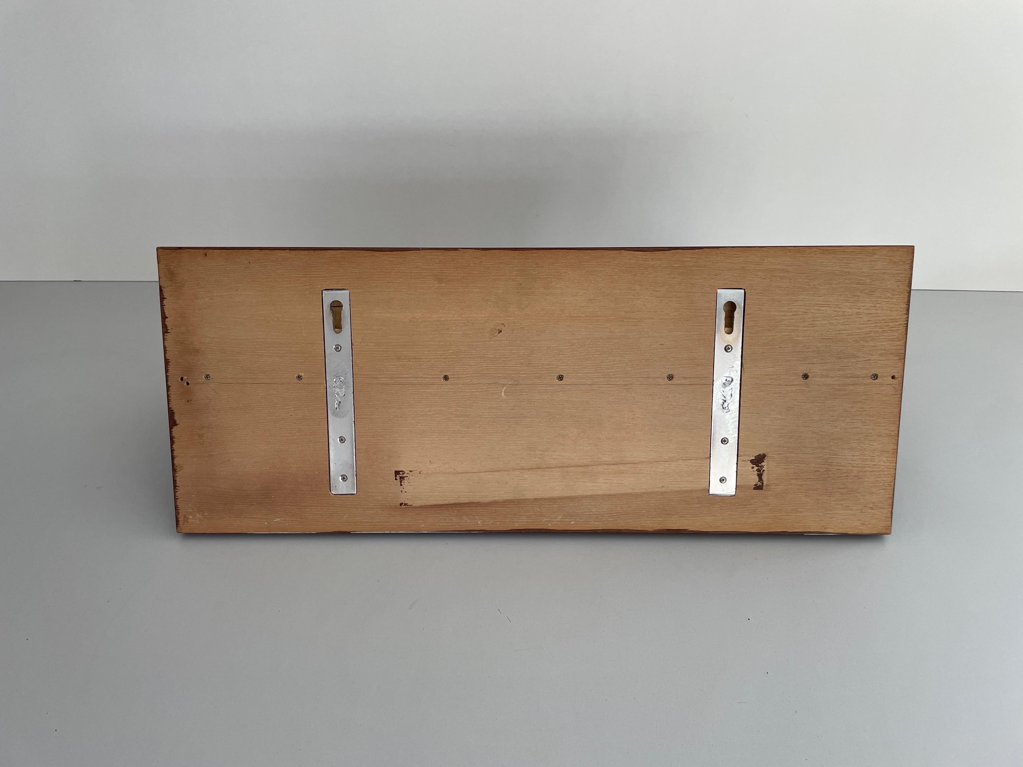Mid-century Modern Rosewood Shelf with Steel Cover by Saporiti, 1960s, Italy For Sale 5