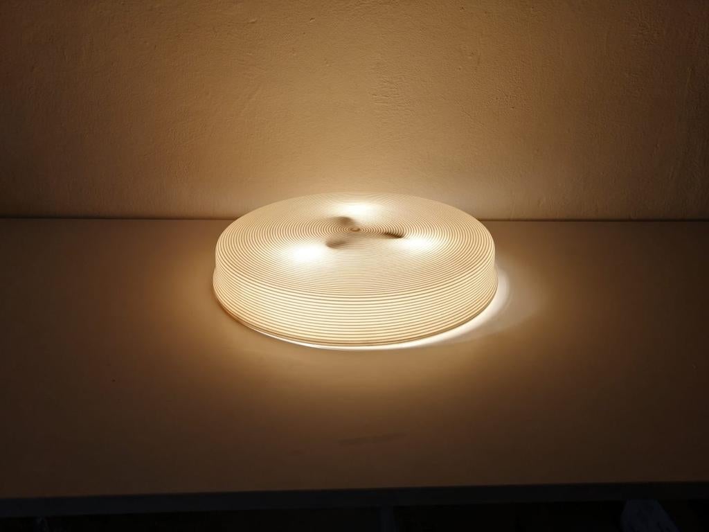 Mid-Century Modern Rotaflex Ceiling Lamp or Flush Mount by Yasha Heifetz, 1960s 3