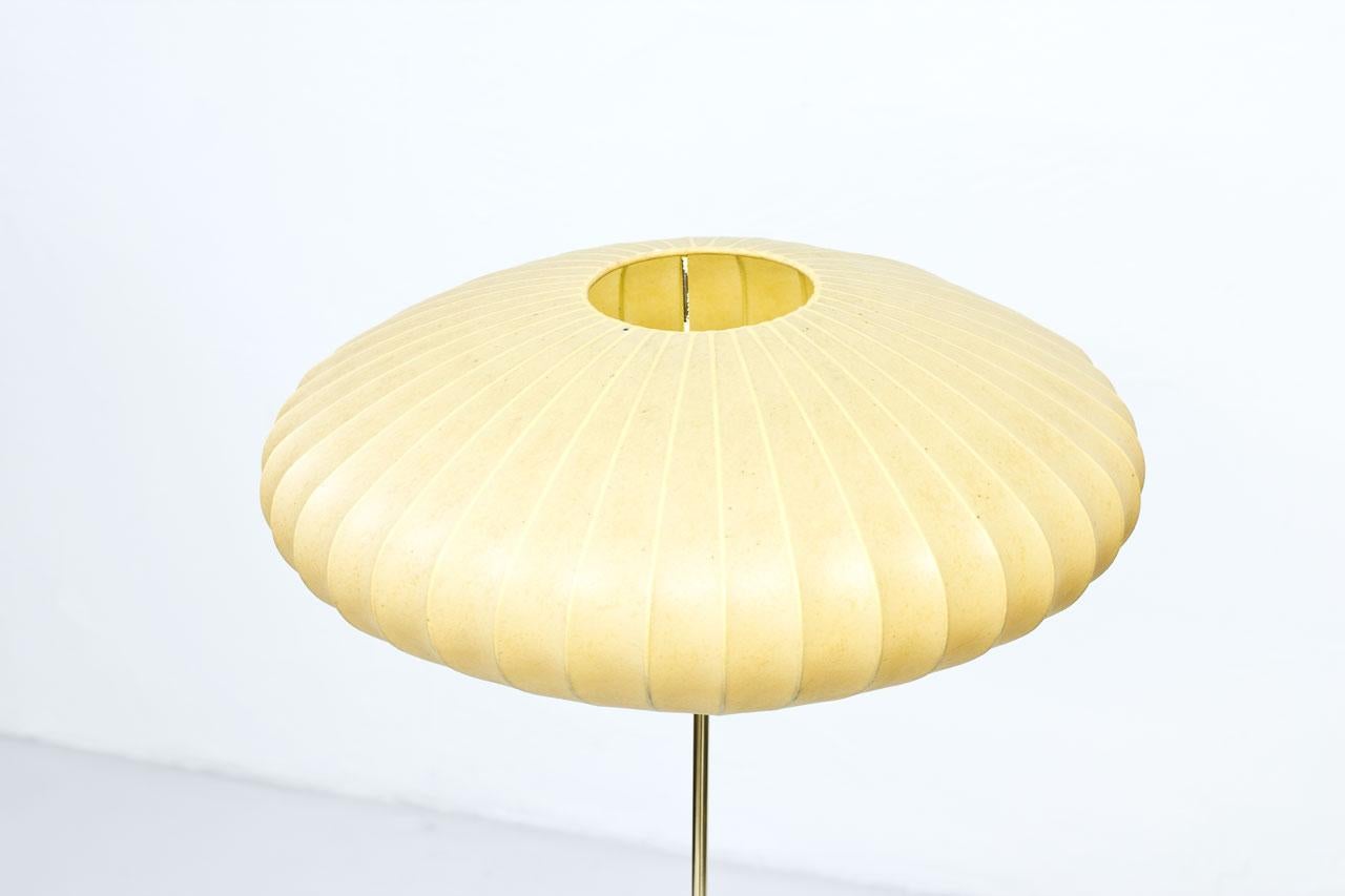 Scandinavian Modern Mid-Century Modern Scandinavian Floor Lamp in Brass and Cocoon by ASEA, Sweden