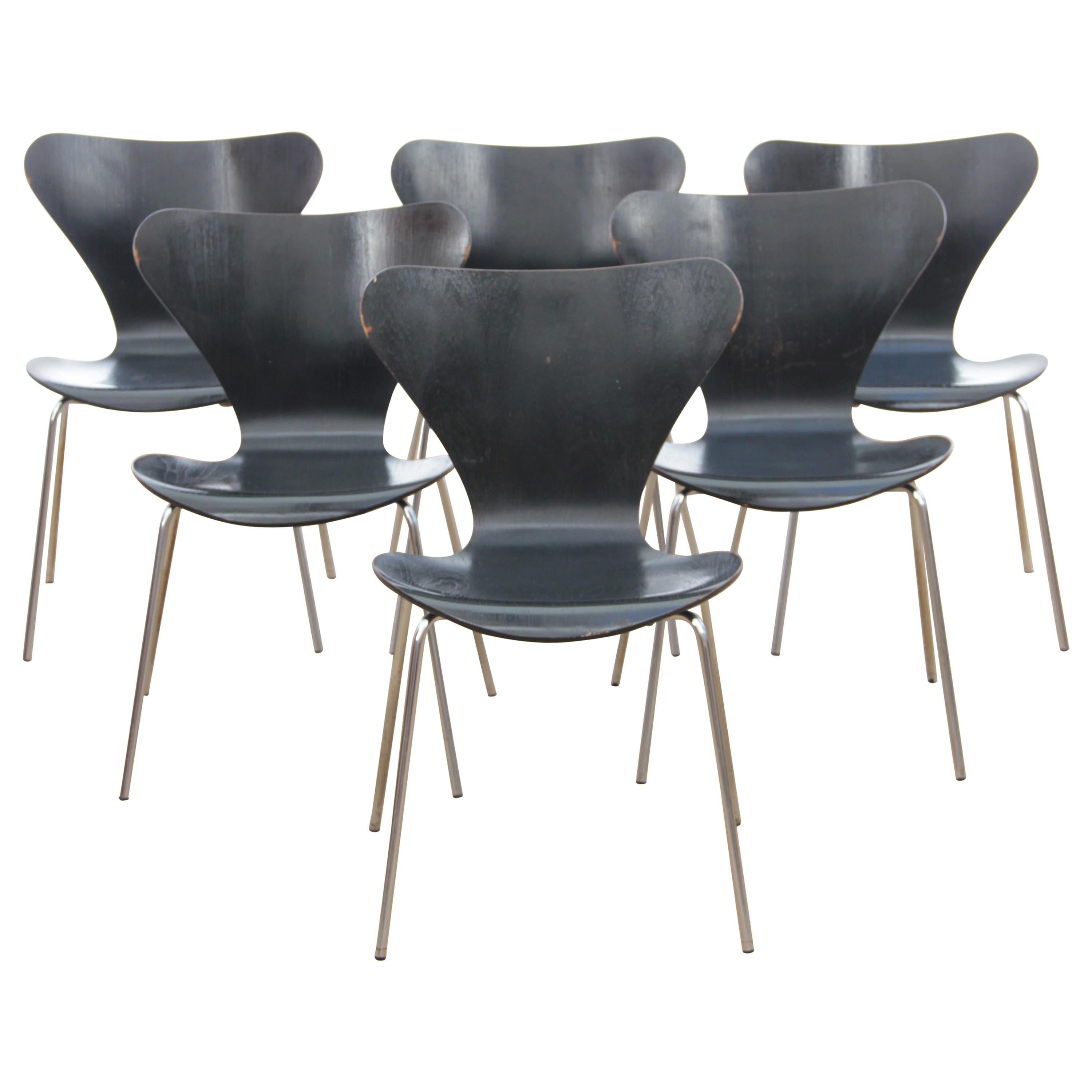 Mid-Century Modern Scandinavian Set of 6 Chairs by Arne Jacobsen For Sale