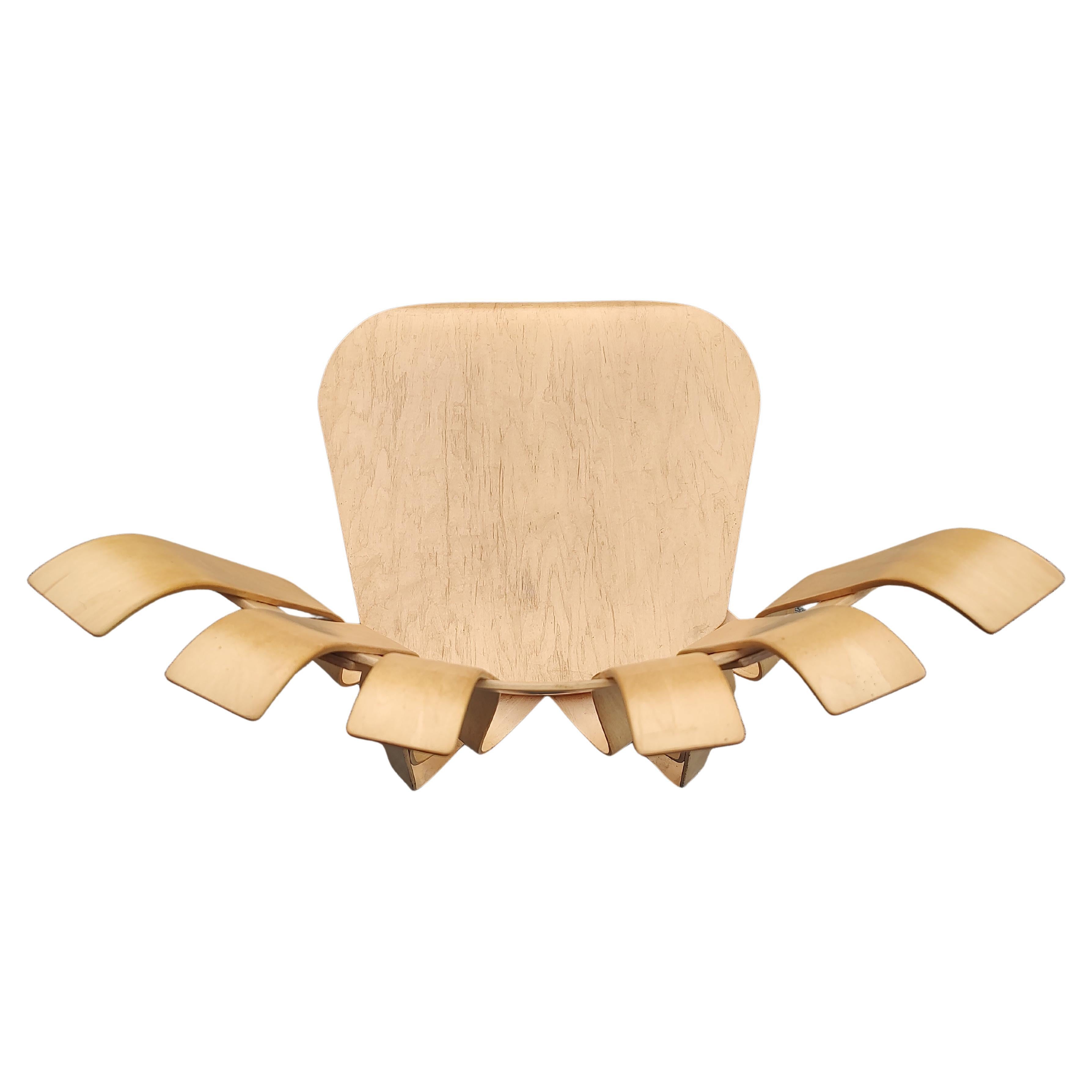 Américain 6 chaises sculpturales en bouleau mi-siècle modernes Hat Trick de Frank Gehry - Knoll en vente